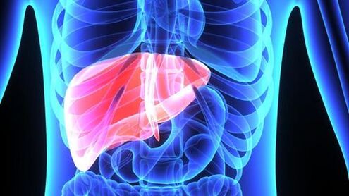 The effects of alcohol on the liver